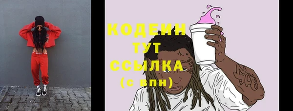 гидра Бронницы