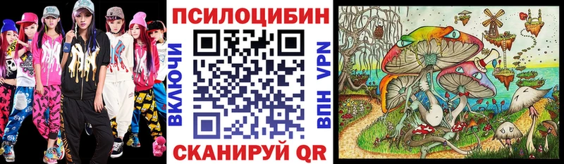 Купить где  Нерехта  Псилоцибиновые грибы Cubensis 